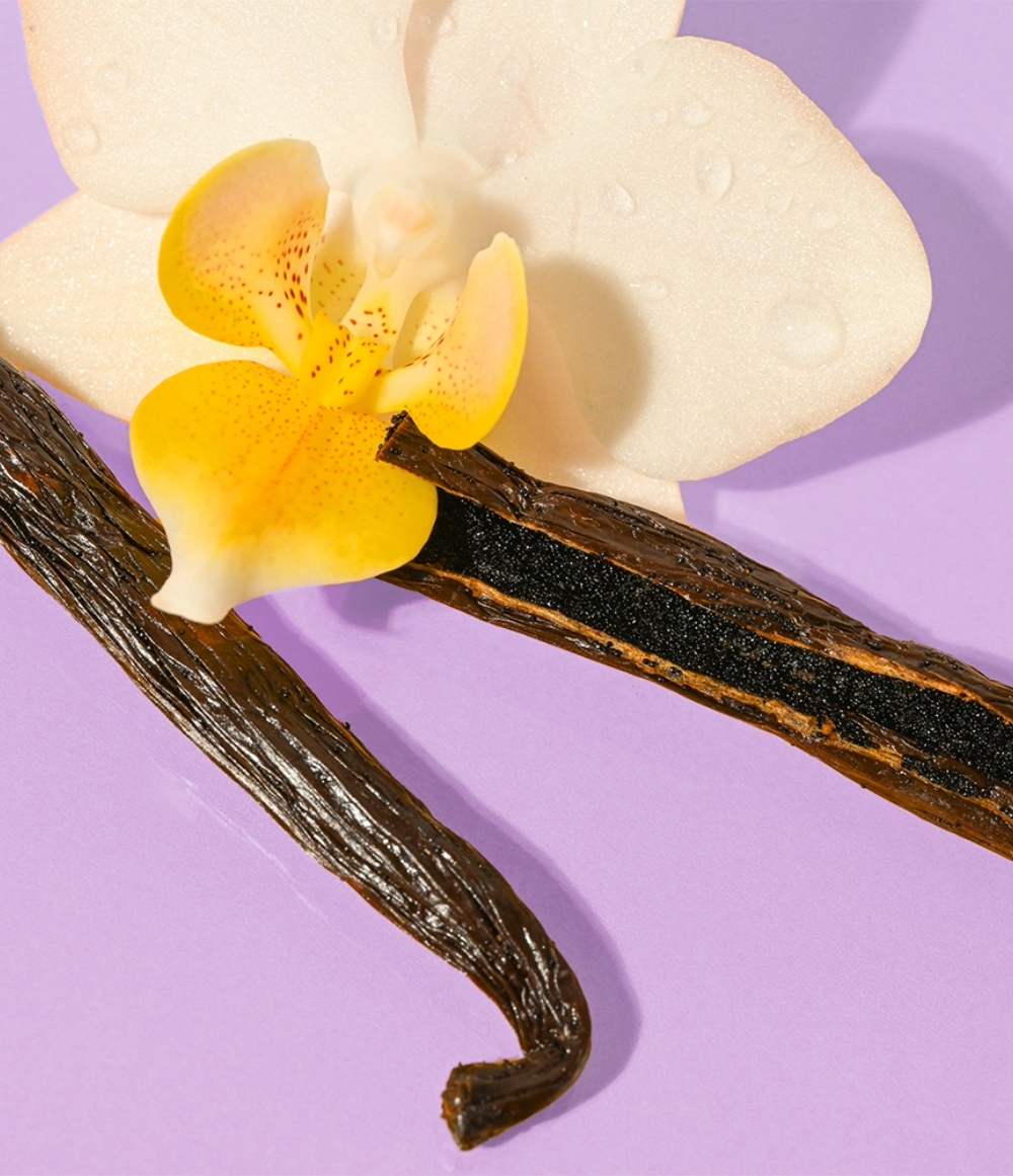 Vanilla Bean Lip Balm - Image 3